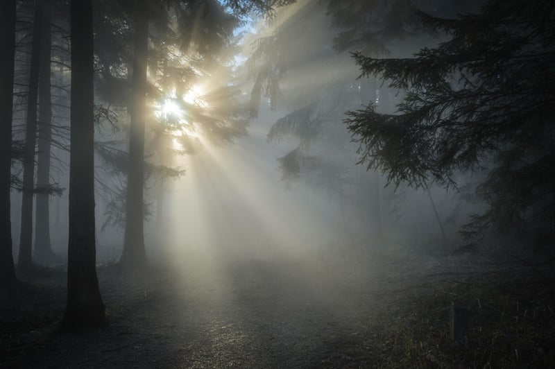 Morning Run